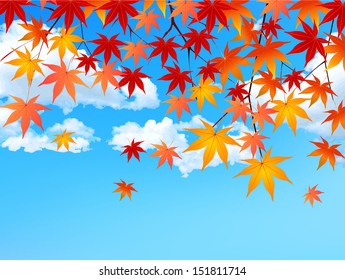 Maple autumn leaves background