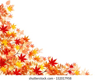 Maple autumn leaves background