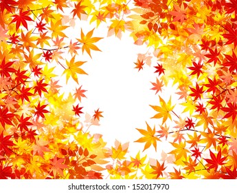 Maple autumn leaves background