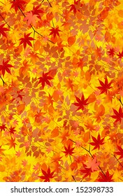 Maple autumn leaves background