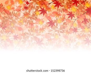 Maple autumn leaves background