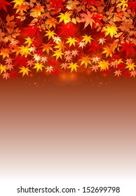 Maple autumn leaves background