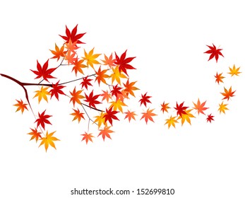 Maple autumn leaves background