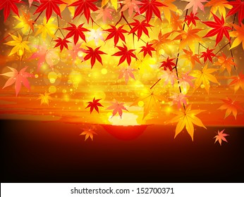 Maple autumn leaves background