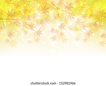 Maple autumn leaves background
