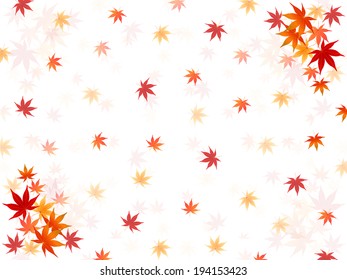  Maple autumn leaves background