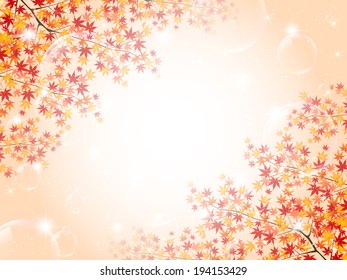  Maple autumn leaves background