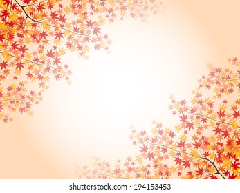  Maple autumn leaves background