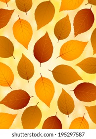 Maple autumn leaves background