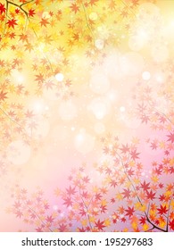 Maple autumn leaves background