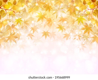 Maple autumn leaves background