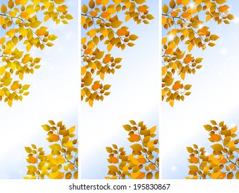  Maple autumn leaves background