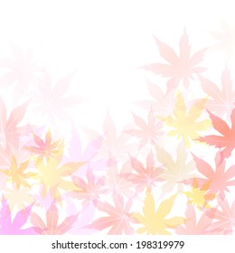  Maple autumn leaves background