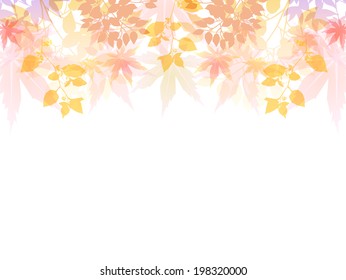  Maple autumn leaves background