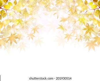 Maple autumn leaves background