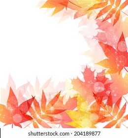  Maple autumn leaves background