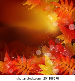  Maple autumn leaves background