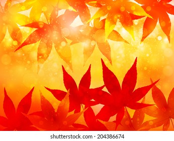  Maple autumn leaves background