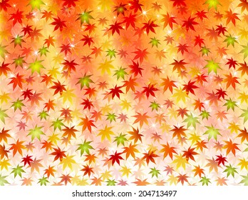 Maple autumn leaves background