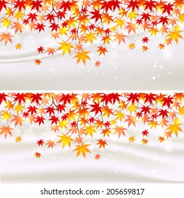 Maple autumn leaves background