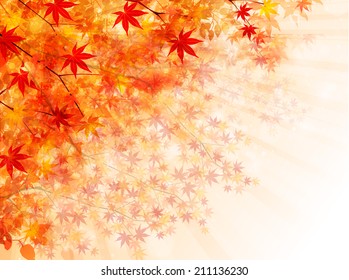 Maple autumn leaves background