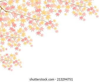 Maple autumn leaves background