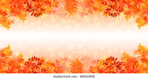 Maple autumn leaves background