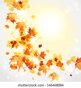 Maple autumn leaves  background with space for text