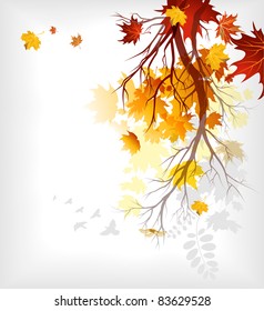 Maple autumn  leaves eps10