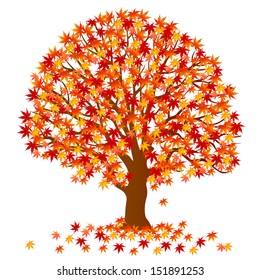 Maple autumn leaves fall