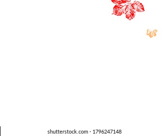 Maple autumn leaves falling to the ground, on white background.  Vector paper illustration.  Stylish tree foliage vector october seasonal background.