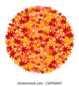 Maple autumn leaves frame