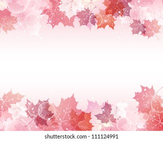 maple background