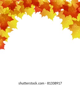 maple background