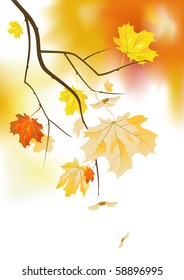 Maple branch. Gradient mesh used