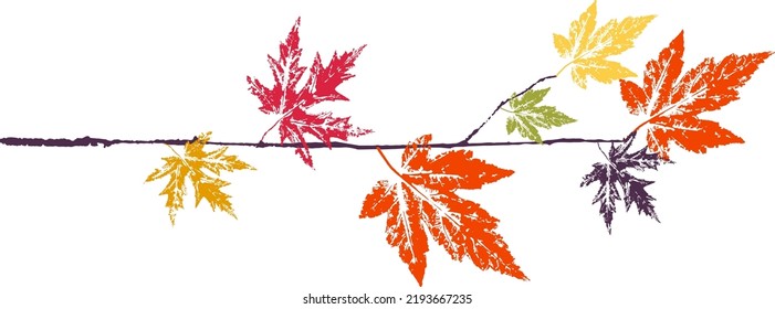 Maple branch with leaf stamp. Imprint of fallen leaves. Autumn pattern. Creative natural decor. Hand-crafted vector art prints. Seasonal modern packaging.