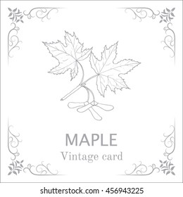 Maple branch with leaves and seeds. Vintage card. Vector illustration