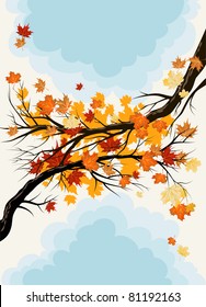 Maple branches
