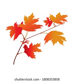 maple branches in gradient color. autumn foliage with textured gradient vector. detail for printing and postcards. maple plane