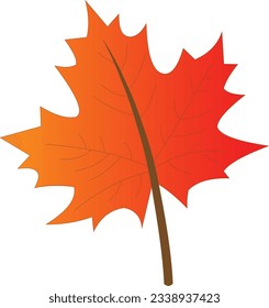 maple naranja brillante hoja de otoño