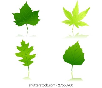 Maple, chestnut, oak and beach leaves in different shades of green. Use of 12 global colors and linear gradients.