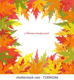 Maple colored leaves. Autumnal vector background. Frame. Border. Plant illustration.