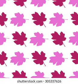 Maple colored leaves on a white background.