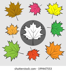 Maple coloured leaves icons set. Leaf sign icon. Botany symbol. Circle grey button with autumn leaves. Vector