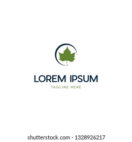 Maple Creative Vector Logo Design