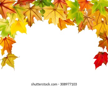 Maple falling autumn leaves border, on white, vector illustration.