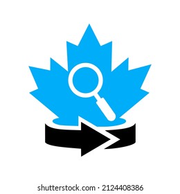 Maple Finder Logo Design. Canadian Magnifier Logo. Red Maple Leaf with Magnifier Vector