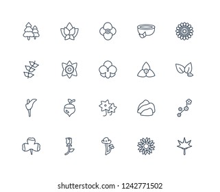 Maple, Flower, Poppy, Rose, Clover, Chrysanthemum, Bougainvillea, Clematis, Calla, Daffodil, Petunia outline vector icons from 20 set