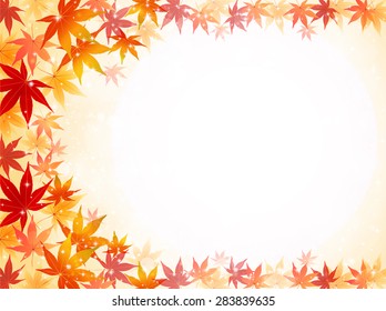 
Maple foliage background
