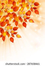 Maple foliage background